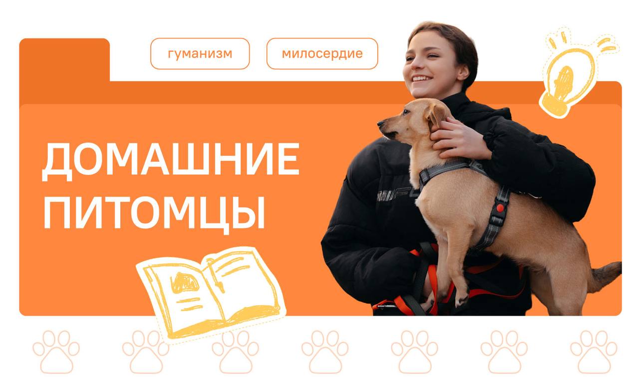 Домашние питомцы.
