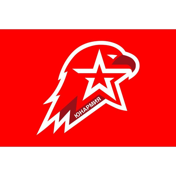 «Областной VII смотр - конкурс знамённых групп юнармейских отрядов».