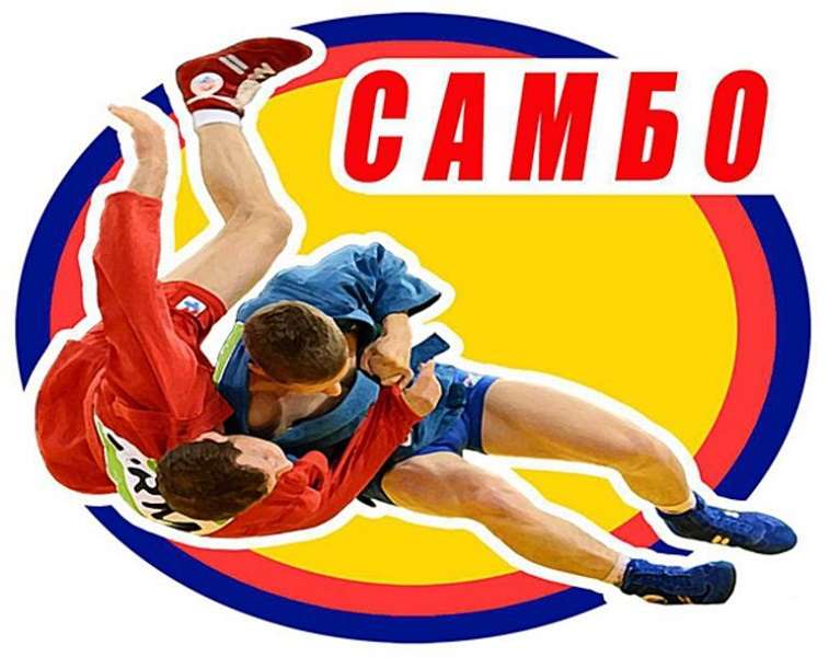 Всероссийский фестиваль школьной лиги самбо, посвящённый празднованию 85-летия самбо в России..